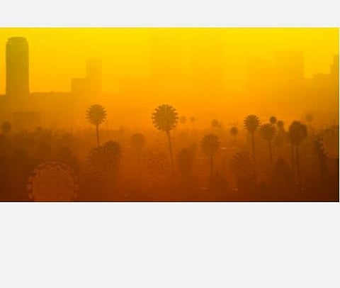 கரோனா வைரஸ் தொற்று எண்ணிக்கை 5 லட்சத்தைக் கடந்த முதல் மாகாணமானது கலிபோர்னியா