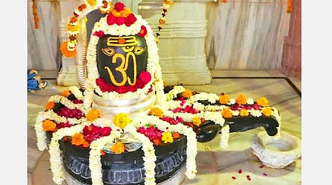 நல்லதே நடக்கும்