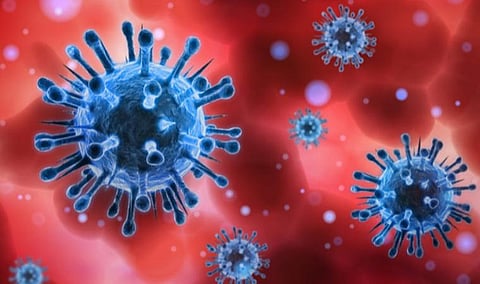 22 தொழிலாளர்களுக்கு கரோனா தொற்று: சிறுங்குன்றம் தனியார் தொழிற்சாலை மூடல்