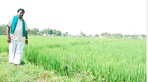 ஆறுபாதி ப.கல்யாணம் | கோப்புப் படம்.