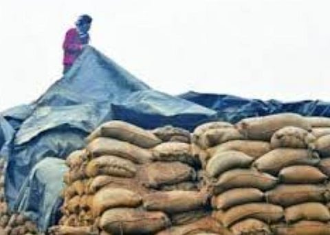 118 லட்சம் மெட்ரிக் டன் உணவு தானியங்கள்: மாநிலங்களுக்கு மத்திய அரசு விநியோகம்