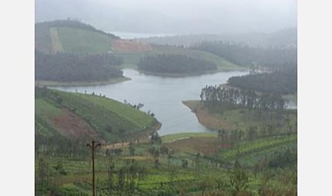 தென்மேற்கு பருவக்காற்றின் தீவிரம்; நீலகிரி, கோவை, தேனி மாவட்டங்களில் மிக கனமழைக்கு வாய்ப்பு: வானிலை ஆய்வு மையம் தகவல்