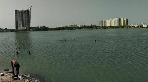 சென்னை பெருங்குடி ஏரியை சுற்றுச்சூழல் பூங்காவாக மாற்ற வாய்ப்புள்ளதா?- ஆய்வு செய்ய குழு அமைத்து பசுமை தீர்ப்பாயம் உத்தரவு