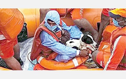 படகில் செல்ல நாயுடன் தொப்பன்னா.