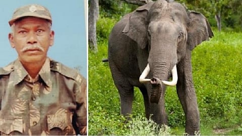 குற்றாலம் அருகே யானை தாக்கி உயிரிழந்த வேட்டை தடுப்புக் காவலர் உடல் 12 மணி நேர போராட்டத்துக்குப் பின் மீட்பு