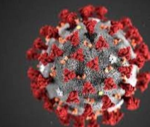 பிரதிநிதித்துவப் படம்