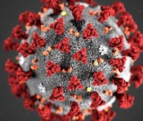 பிரதிநிதித்துவப் படம்