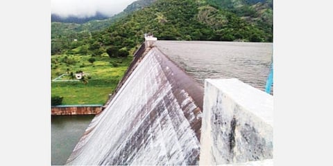 அடவிநயினார் கோவில் அணை (கோப்புப் படம்)