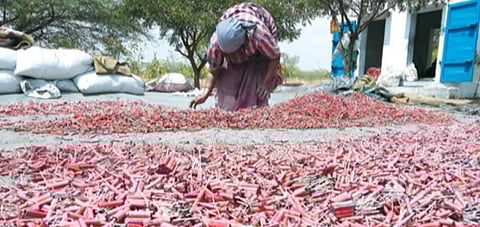சிவகாசி அருகே ஒரு பட்டாசு ஆலையில் பட்டாசுகளை உலர்த்தும் தொழிலாளி.