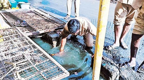 காவேரிப்பட்டணம் நகரில் போதிய பாதுகாப்பு உபகரணங்கள் அணியாமல், சாக்கடை கால்வாயில் அடைப்புகளை சீர் செய்யும் பணியை மேற்கொண்ட தூய்மைப் பணியாளர்கள்.
