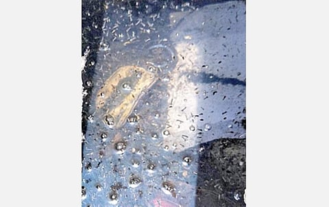 மாதவரம் பகுதி மழைநீர் வடிகாலில் தேங்கிஉள்ள கழிவுநீரில் உற்பத்தியாகி இருக்கும் அதிக அளவிலான கொசுப் புழுக்கள். படம்: ச.கார்த்திகேயன்