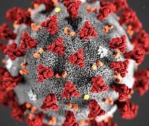 பிரதிநிதித்துவப் படம்