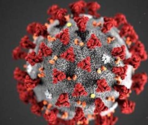 பிரதிநிதித்துவப் படம்