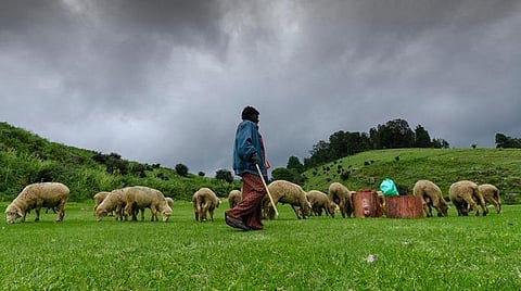 மன்னவனூர் எழும்பள்ளம் கண்மாய் குடிமராமத்துப் பணிகளுக்கு உயர் நீதிமன்ற கிளை தடை
