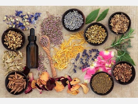 யோகா மற்றும் இயற்கை மருத்துவக் கல்லூரிகளில் மருத்துவப் பட்டப்படிப்பு: விண்ணப்பிக்க இறுதித் தேதி நீட்டிப்பு