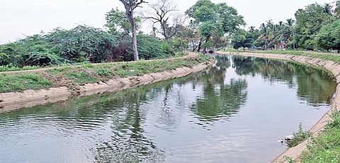 கள்ளந்தரி கால்வாயை வந்தடைந்த வைகை அணை தண்ணீர். படம்: ஆர். அசோக்