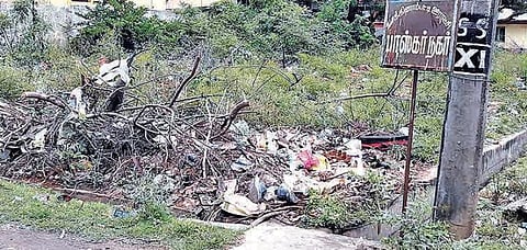 பொள்ளாச்சி மாக்கினாம்பட்டி ஊராட்சியில் புதர்மண்டிக் காணப்படும் காலி வீட்டுமனைகள். படம்: எஸ்.கோபு