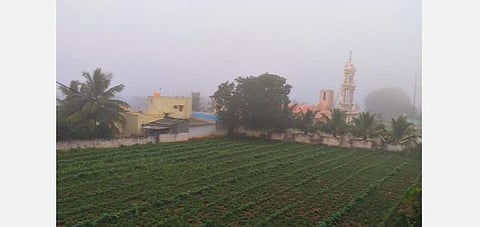 ஓசூர் மத்திகிரி கால்நடைப்பண்ணை அருகே காலை 9 மணிவரை சூழ்ந்திருந்த பனிப்பொழிவு. படம்: ஜோதி ரவிசுகுமார்