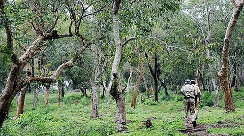 அமலுக்கு வராத ஊதிய உயர்வு: சத்தியமங்கலம் வேட்டைத்தடுப்பு காவலர்கள் வேதனை - நிதி ஒதுக்கப்படாததே காரணம் என அதிகாரிகள் தகவல்