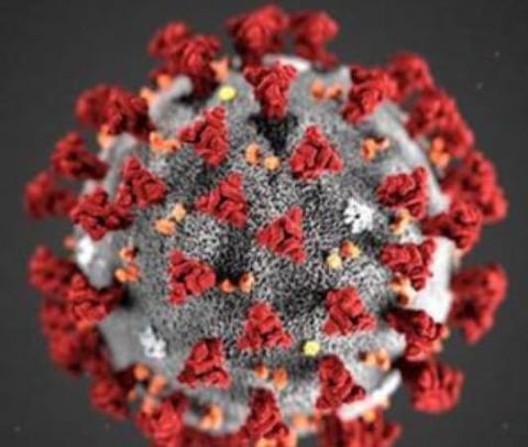 பிரதிநிதித்துவப் படம்