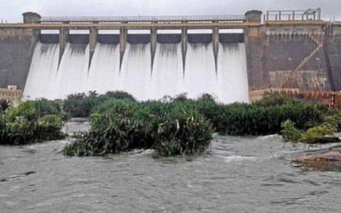 அடவிநயினார், கருப்பாநதி அணைகளில் பாசனத்துக்குத் தண்ணீர் திறந்தும் சாகுபடியில் ஆர்வம் காட்டாத விவசாயிகள்