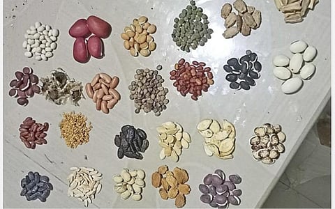 மீட்டெடுத்துள்ள பாரம்பரிய காய்கறி விதைகள்.