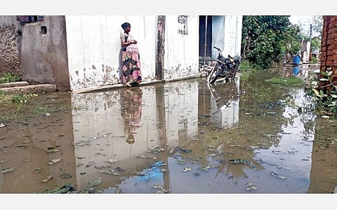 வையாவூர் கிராமத்தில் குடியிருப்புப் பகுதி சாலையில் தேங்கி நிற்கும் கழிவுநீர்.