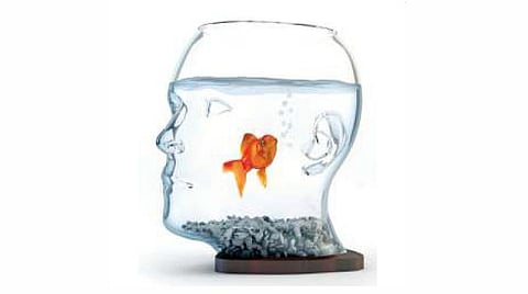 மீனும் நானும்