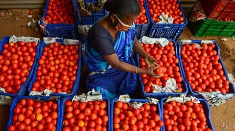 திண்டுக்கல் மார்க்கெட்டில் விற்பனைக்கு வைக்கப்பட்டிருந்த தக்காளி.