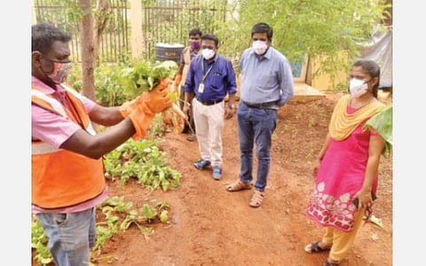 பாளையங்கோட்டை வேலவன் காலனியிலுள்ள நுண் உரம் தயாரிப்பு மையத்தில் சாகுபடி செய்யப்பட்ட முள்ளங்கியை பார்வையிடும் அதிகாரிகள்.