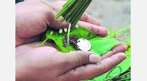 மகாளயபட்சத்தின் முக்கியமான நாள் மகாவியதிபாதம்; முன்னோர்களை அவசியம் வழிபடுங்கள்!