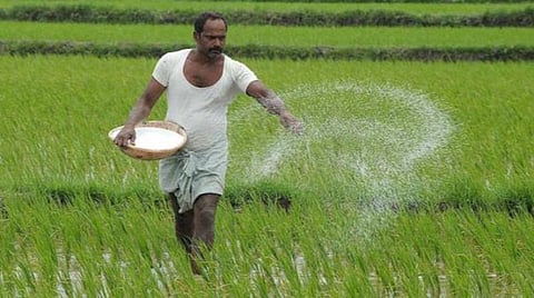 பிரதிநிதித்துவப் படம்