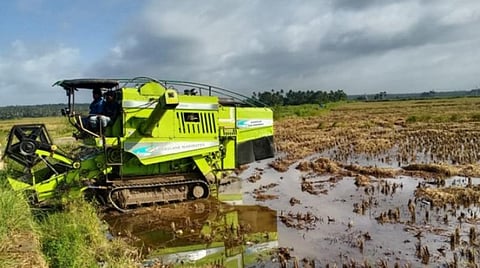 குமரியில் கனமழையில் சிக்கிய நெற்பயிர்கள்; 3500 ஹெக்டேர் வயல்களில் அறுவடை செய்ய முடியாமல் பேரிழப்பை சந்தித்து வரும் விவசாயிகள்