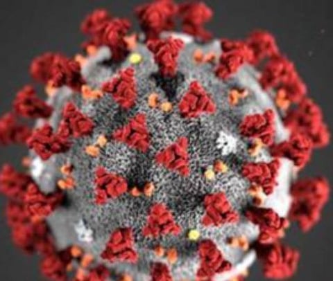 பிரதிநிதித்துவப் படம்