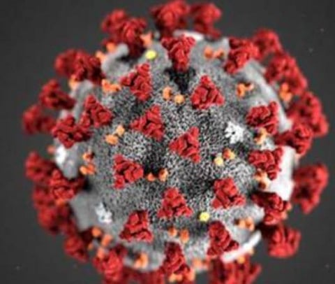 பிரதிநிதித்துவப் படம்