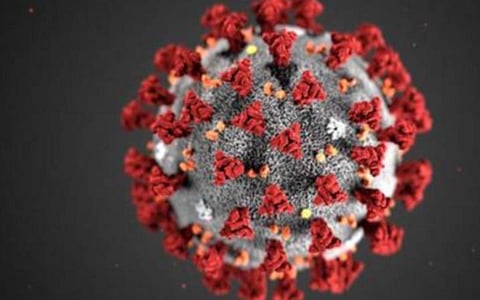 வைரஸின் வரிசைகளைக் கணிக்கும் இணையம் சார்ந்த கோவிட் கணிப்பான்: இந்திய விஞ்ஞானிகள் முயற்சி