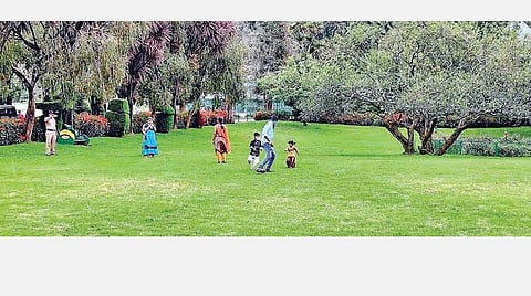 குறைந்த எண்ணிக்கையிலான சுற்றுலாப் பயணிகளே வந்திருந்ததால் வெறிச்சோடிக் காணப்பட்ட உதகை அரசு தாவரவியல் பூங்கா. படம்:ஆர்.டி.சிவசங்கர்.