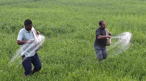 பிரதிநிதித்துவப் படம்.