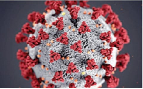 அடுத்த ஆண்டு இறுதியில் கரோனா தடுப்பூசி கிடைக்கும்: சுகாதார துறை நிபுணர்கள் கருத்து