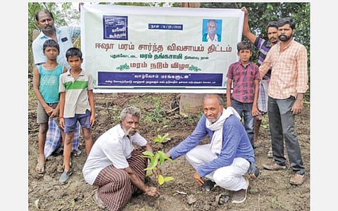 விவசாயி ஒருவரின் தோட்டத்தில் காவிரி கூக்குரல் இயக்கம் சார்பில் நேற்று நடப்பட்ட மரக்கன்று.