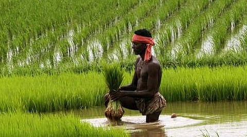 பிரதிநிதித்துவப் படம்.