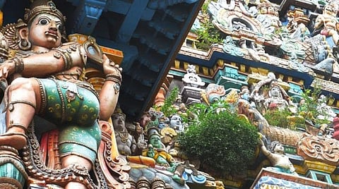 படம்: எஸ்.கிருஷ்ணமூர்த்தி