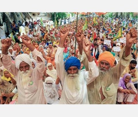 மண்டி முறையில் ஏலம்.