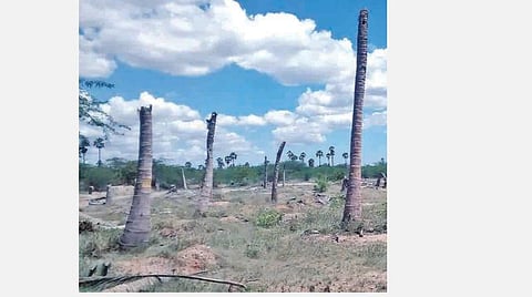 பாலைவனமாக மாறிய வட்டமலைக்கரை ஓடை அணை: பின்னலாடை நிறுவனங்களுக்கு பணிக்கு சென்ற விவசாயிகள்