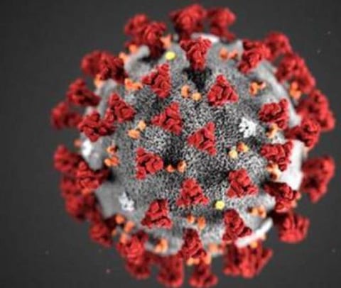 பிரதிநிதித்துவப் படம்