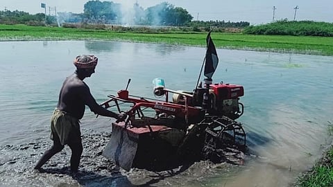 புதிய வேளாண் மசோதாவுக்கு எதிர்ப்பு: மதுரை அருகே வயல்களில் கறுப்புக் கொடியுடன் விவசாயிகள் பணி