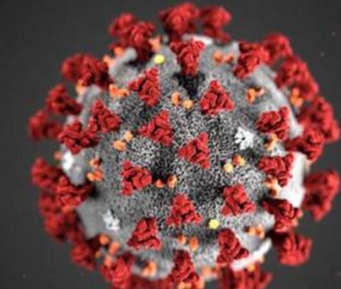 பிரதிநிதித்துவப் படம்