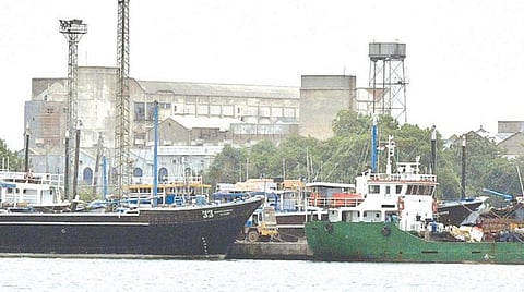 மாலத்தீவுக்கு சரக்கு கப்பல் போக்குவரத்தால் தூத்துக்குடியில் தோணித் தொழில் பாதிக்கப்படும் அபாயம்: தோணி உரிமையாளர்கள் அச்சம்