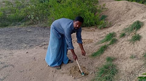 பனசக்காட்டில் அம்புலி ஆற்றில் நாவல் விதை விதைக்கிறார் அன்பரசன்.