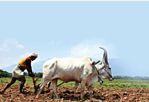 கிராம சபைக் கூட்டத்தில் வேளாண் சட்டத்துக்கு எதிராகத் தீர்மானம் நிறைவேற்றக் கோரிக்கை